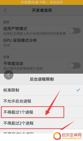 开发选项怎么设置手机不卡 如何设置开发者模式更流畅
