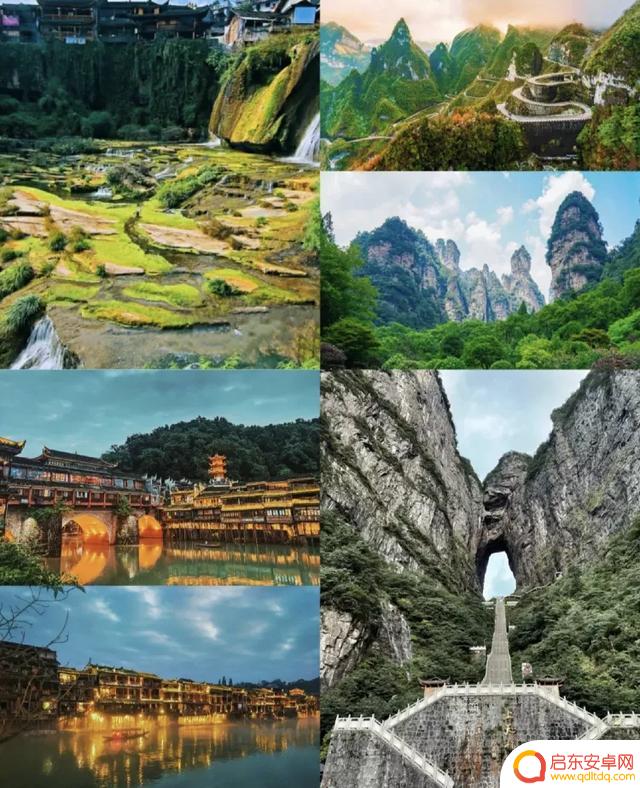 吃货抖音介绍自己(吃货抖音介绍自己怎么写)