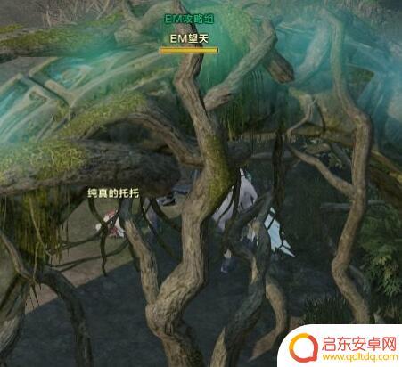 命运方舟雷科巴在哪里 命运方舟雷科巴摩可可位置攻略分享