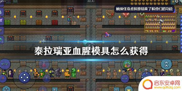泰拉瑞亚摸具 泰拉瑞亚血腥模具掉落攻略