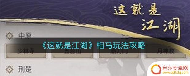 这就是江湖怎么评马 《这就是江湖》新人白嫖向之马用处