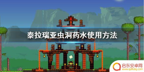 泰拉瑞亚中虫洞药剂怎么用 泰拉瑞亚虫洞药水怎么获取