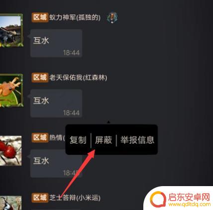 小小蚁国怎么屏蔽别人消息 小小蚁国游戏如何屏蔽别人