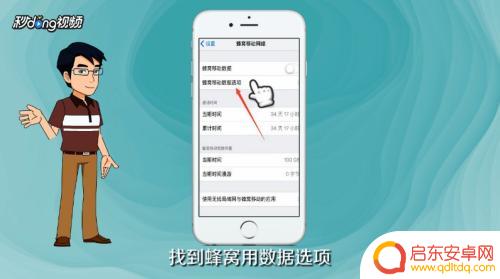 苹果手机怎么设置来电还有网络 iPhone 怎么设置不断网
