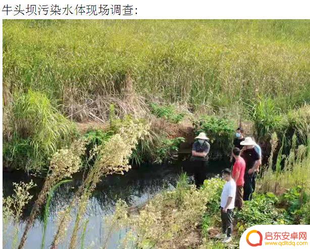 华南环境观察抖音(华南环境快讯)