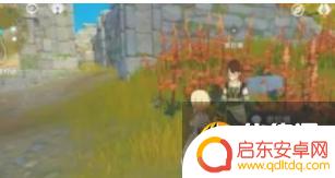 原神找到最后的遗迹开启机关 原神最后的遗迹机关开启步骤