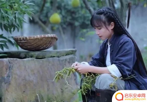 张国荣刘德华抖音粉丝(张国荣粉丝和刘德华粉丝区别)
