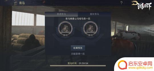 鸿图之下怎么养马 小图教你驯马