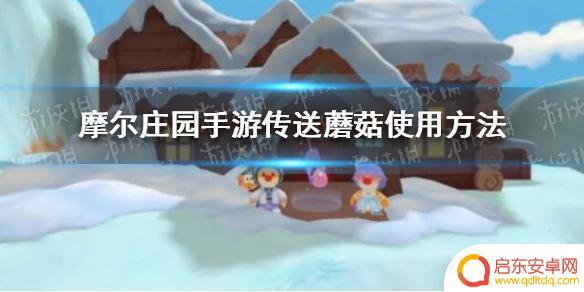 摩尔庄园怎么用 《摩尔庄园手游》传送蘑菇怎么获取