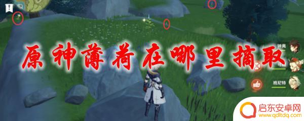 原神里面怎么找薄荷 原神薄荷怎么摘取