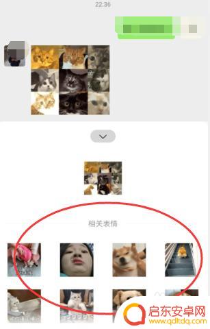 手机如何自动搜索表情包 微信如何通过关键词搜索相关表情包
