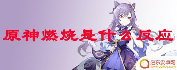 原神 燃烧 原神燃烧反应详解