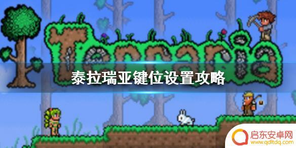 泰拉瑞亚旧版摇杆 《泰拉瑞亚》1.4版双摇杆设置攻略