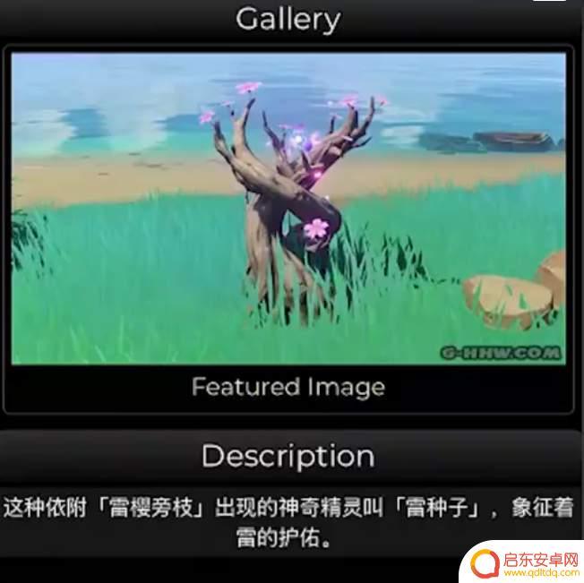 原神雷结界怎么解开 《原神》若雷结界解除方法