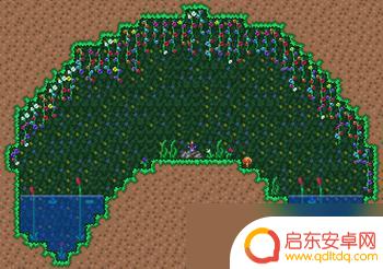 泰拉瑞亚打附魔剑会掉什么 《泰拉瑞亚》如何获得附魔剑武器