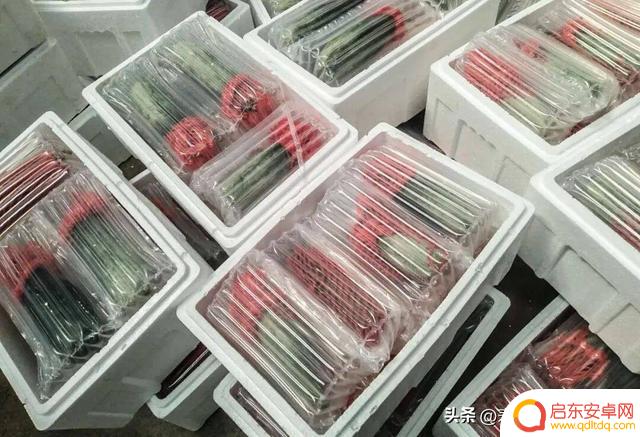 抖音美食寿光店铺(抖音美食寿光店铺推荐)