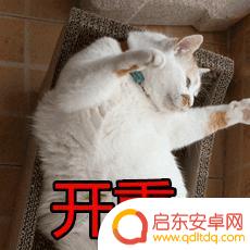 年会抽奖抖音文案(年会抽奖抖音文案怎么写)