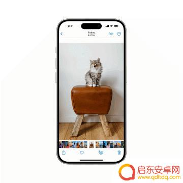 揭秘iPhone的正确玩法!6个隐藏实用冷知识等你白嫖