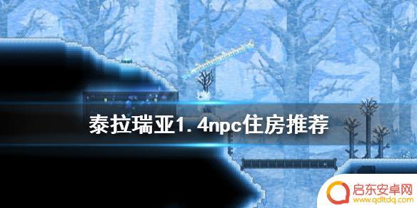 泰拉瑞亚npc适合住在哪 1.4npc住哪好建议
