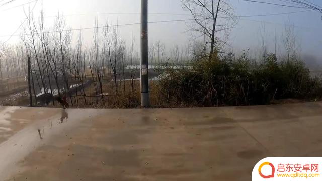 抖音小熊垂钓中心(抖音小熊垂钓中心是真的吗)