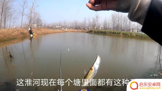 抖音小熊垂钓中心(抖音小熊垂钓中心是真的吗)