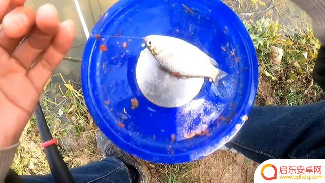 抖音小熊垂钓中心(抖音小熊垂钓中心是真的吗)