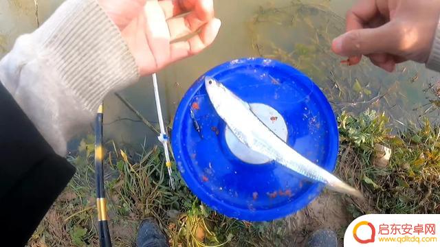 抖音小熊垂钓中心(抖音小熊垂钓中心是真的吗)
