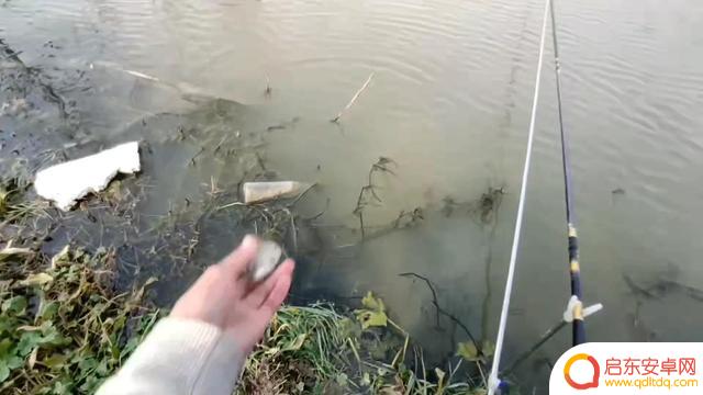 抖音小熊垂钓中心(抖音小熊垂钓中心是真的吗)