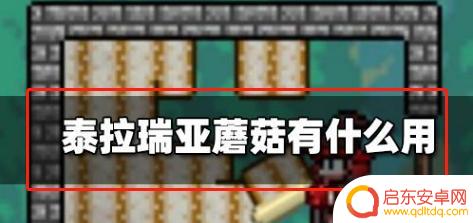 泰拉瑞亚蘑菇世界有什么用 泰拉瑞亚蘑菇种植方法