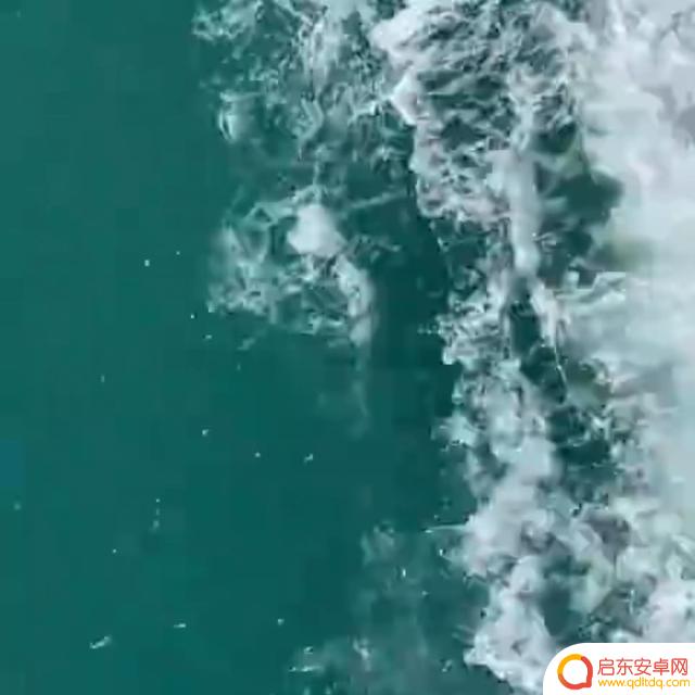 抖音加同姓氏引流