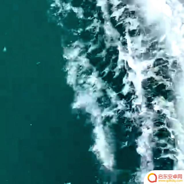 抖音加同姓氏引流