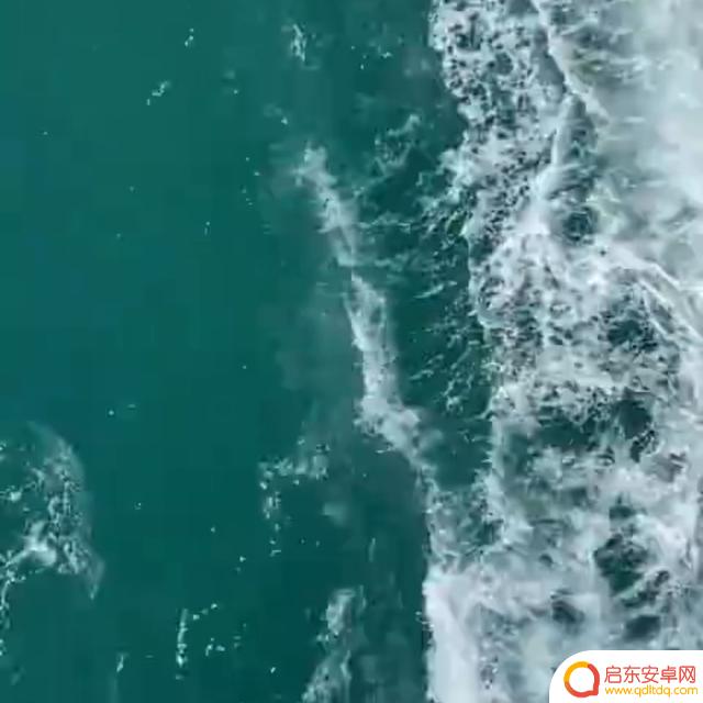 抖音加同姓氏引流