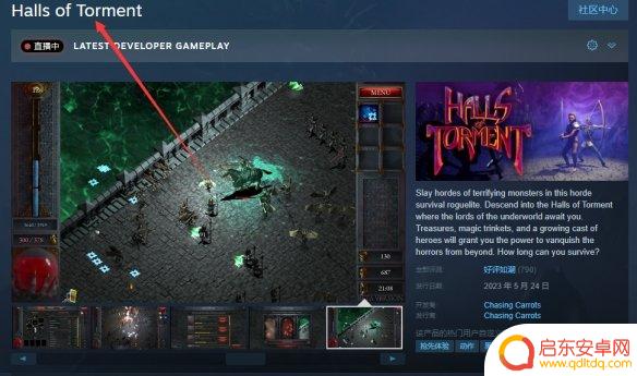 苦痛steam 《苦痛庄园》游戏攻略