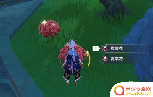 原神怎么拿霓裳花 原神霓裳花怎么获取