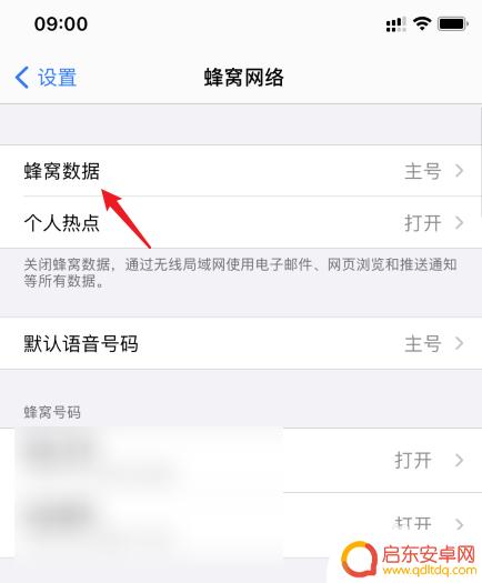 iphone设置为流量主卡 苹果手机怎么设置流量使用哪张卡