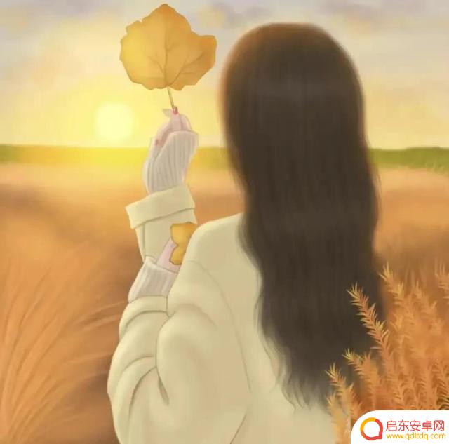 嘴硬心软抖音文案(嘴硬心软的文案)