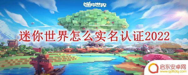 迷你世界怎么登录实名认证 迷你世界怎么进行实名认证