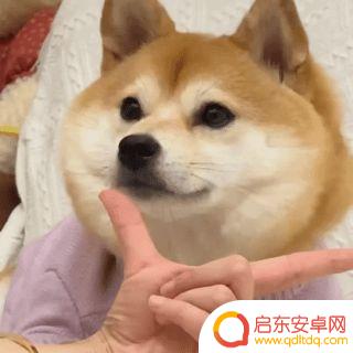 抖音网名带有杏字(抖音网名大全)