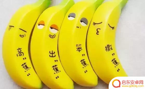 抖音哈尔滨高校墙(哈尔滨高校视频)