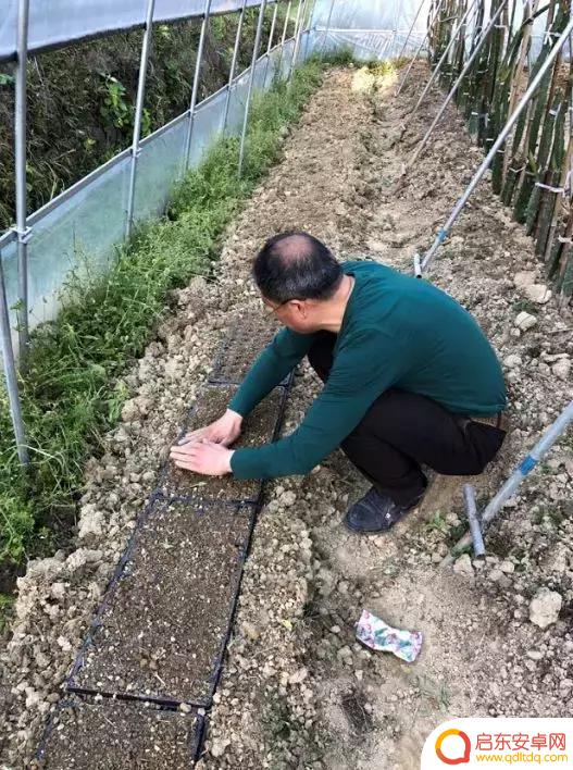 农村抖音大赛视频(抖音短视频大赛)