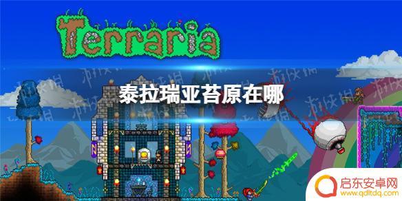 苔原泰拉瑞亚 泰拉瑞亚苔原在哪里