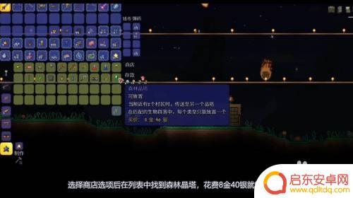 泰拉瑞亚晶塔在谁哪里购买 泰拉瑞亚森林晶塔购买地点在哪