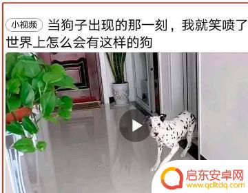 视频手机如何收藏(手机视频如何编辑)