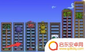 泰拉瑞亚中的树咋不出来 泰拉瑞亚宝石树为什么不生长
