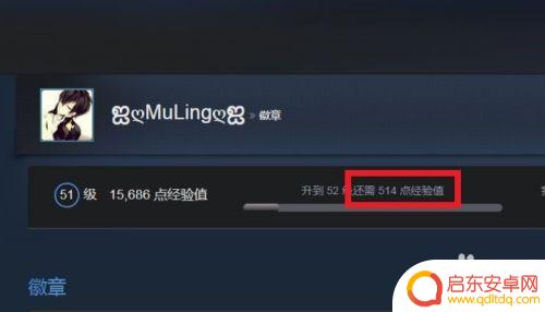 steam合卡 STEAM游戏升级攻略