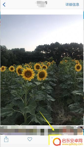 苹果手机批图怎么写文字 iPhone照片编辑功能怎样添加文字