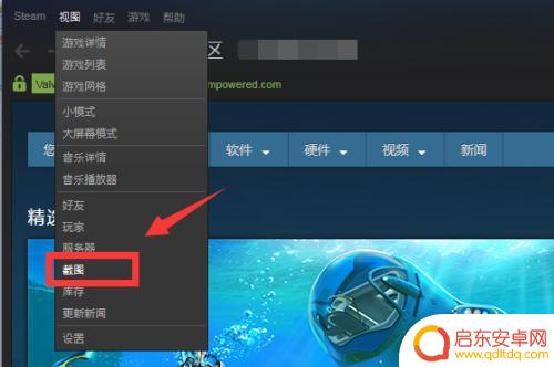 steam上怎么看截图 Steam游戏截图保存在哪个文件夹