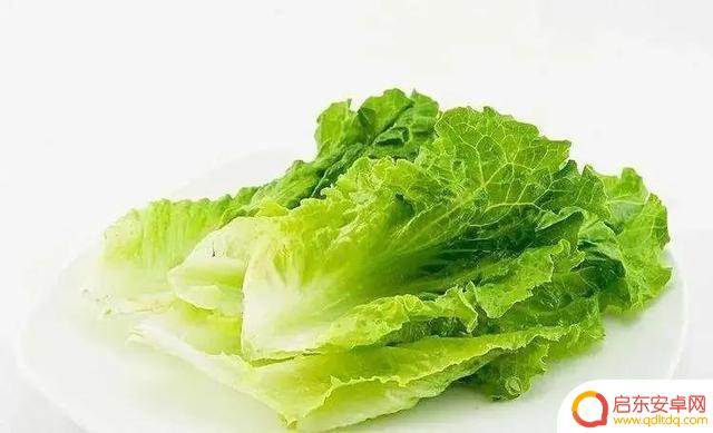 抖音蔬菜大棚模特文案(蔬菜大棚的文案)