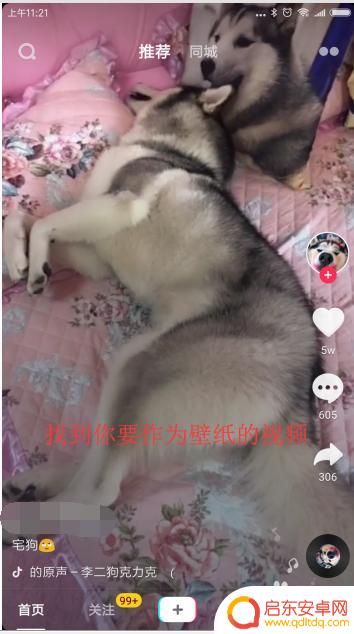 如何制作佛像手机壁纸视频 喜欢的视频怎么设为手机壁纸