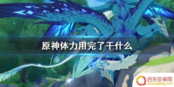 原神体力用完怎么办 原神体力用完了怎么办